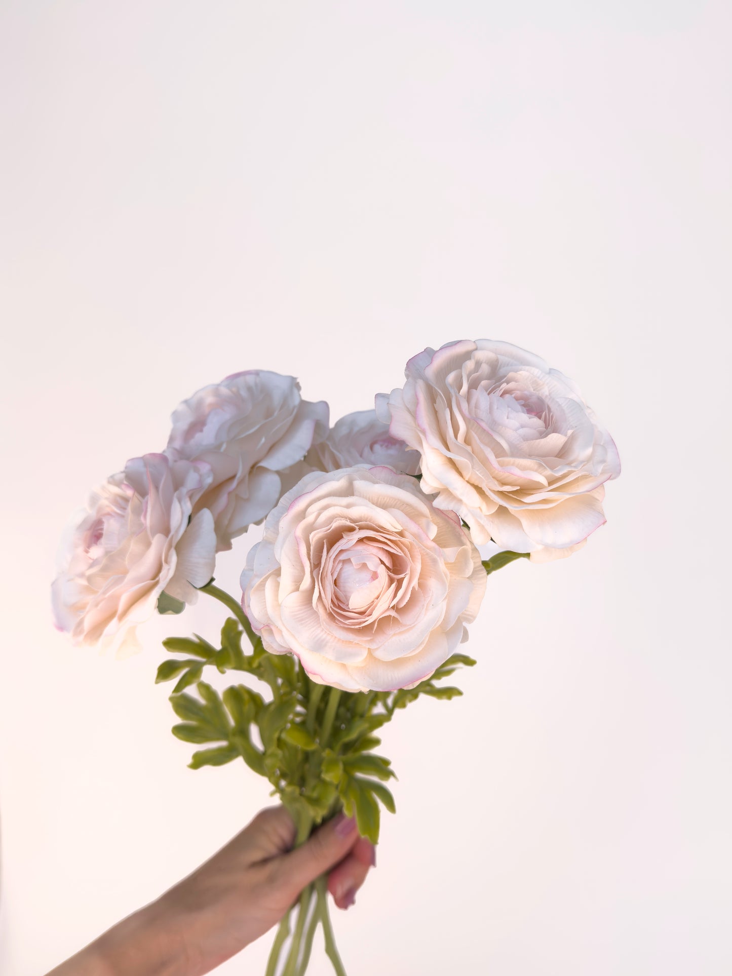 Blush Italian Cloony Ranunculus -Artificial Real Touch