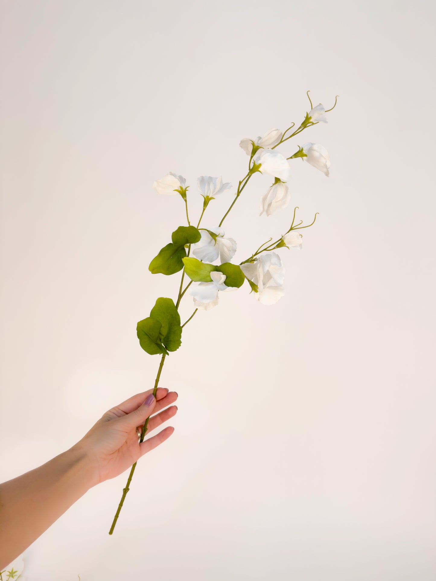 White Sweetpea -Artificial Real Touch