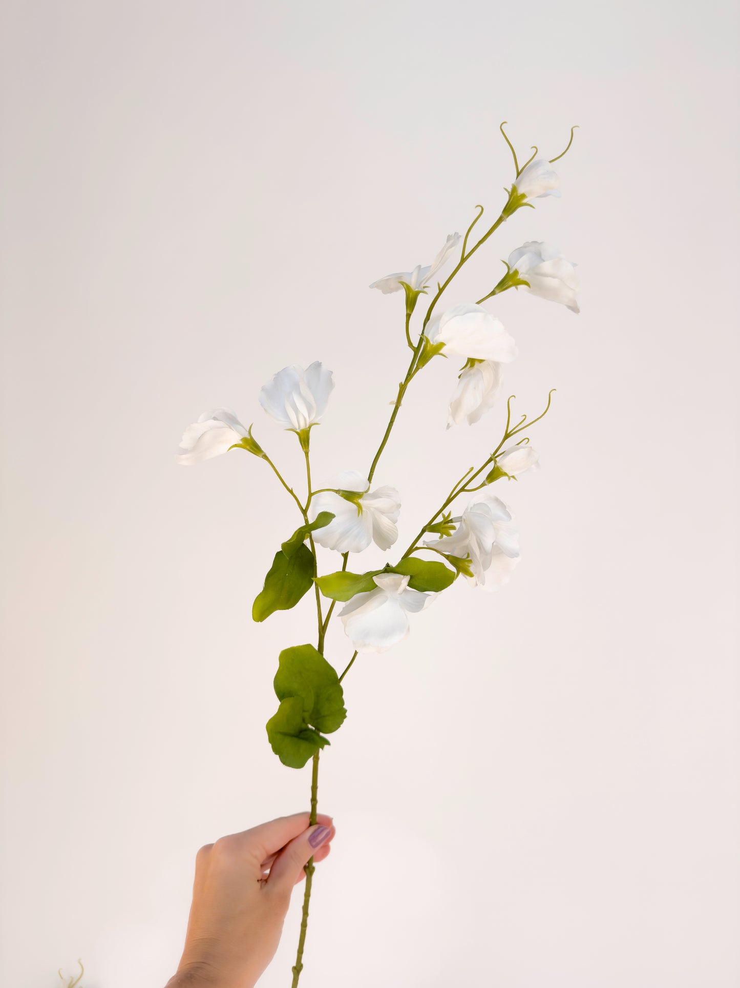 White Sweetpea -Artificial Real Touch