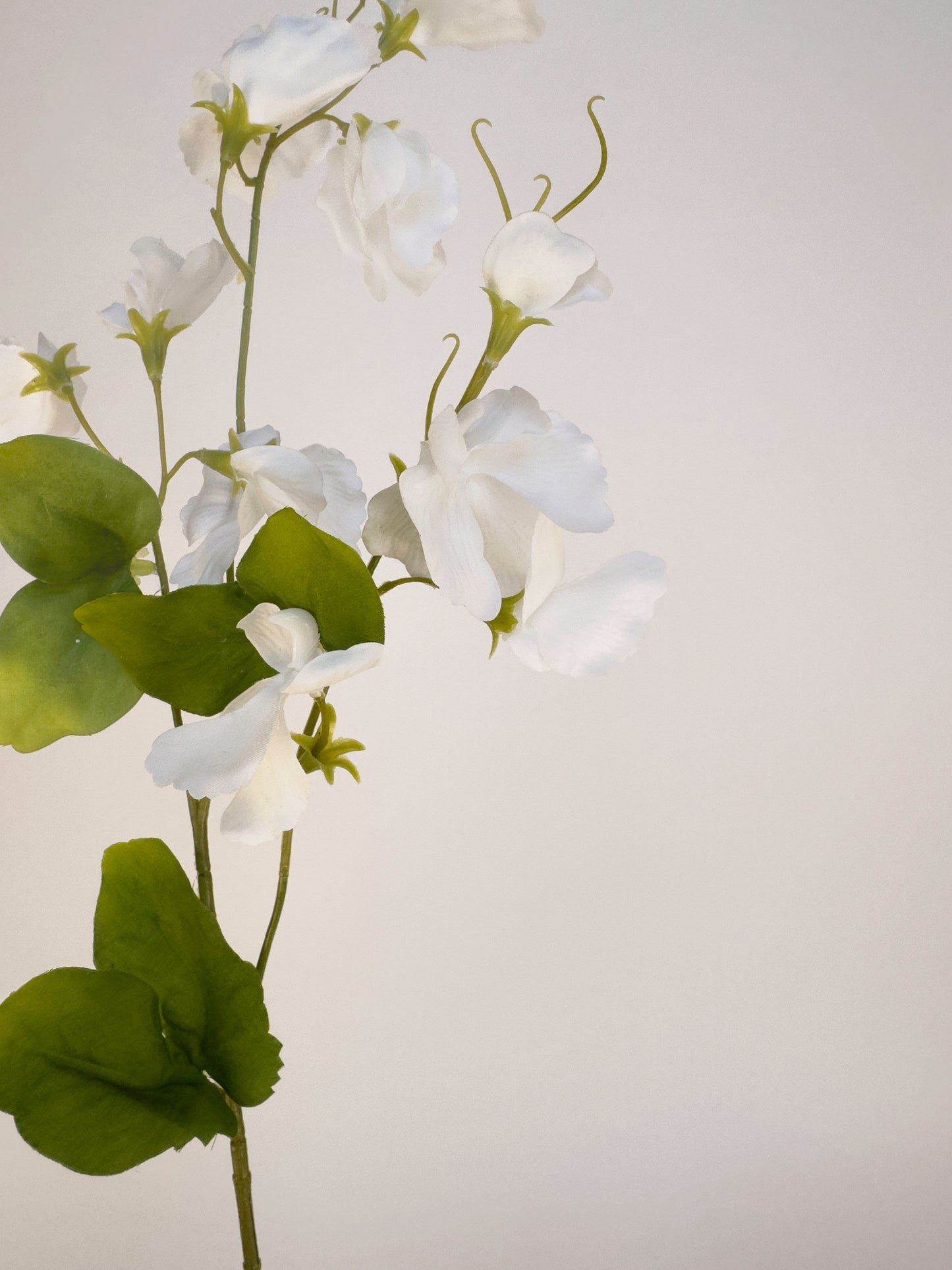White Sweetpea -Artificial Real Touch