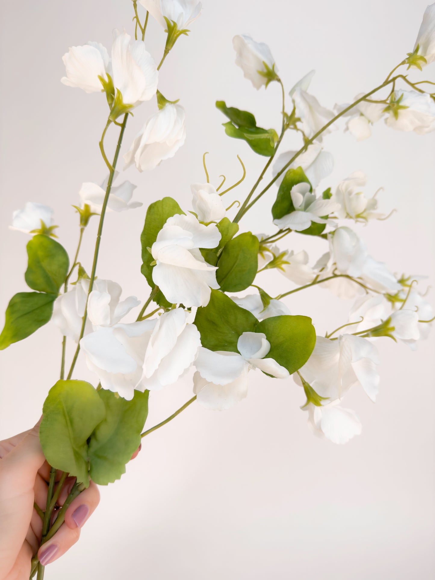 White Sweetpea -Artificial Real Touch