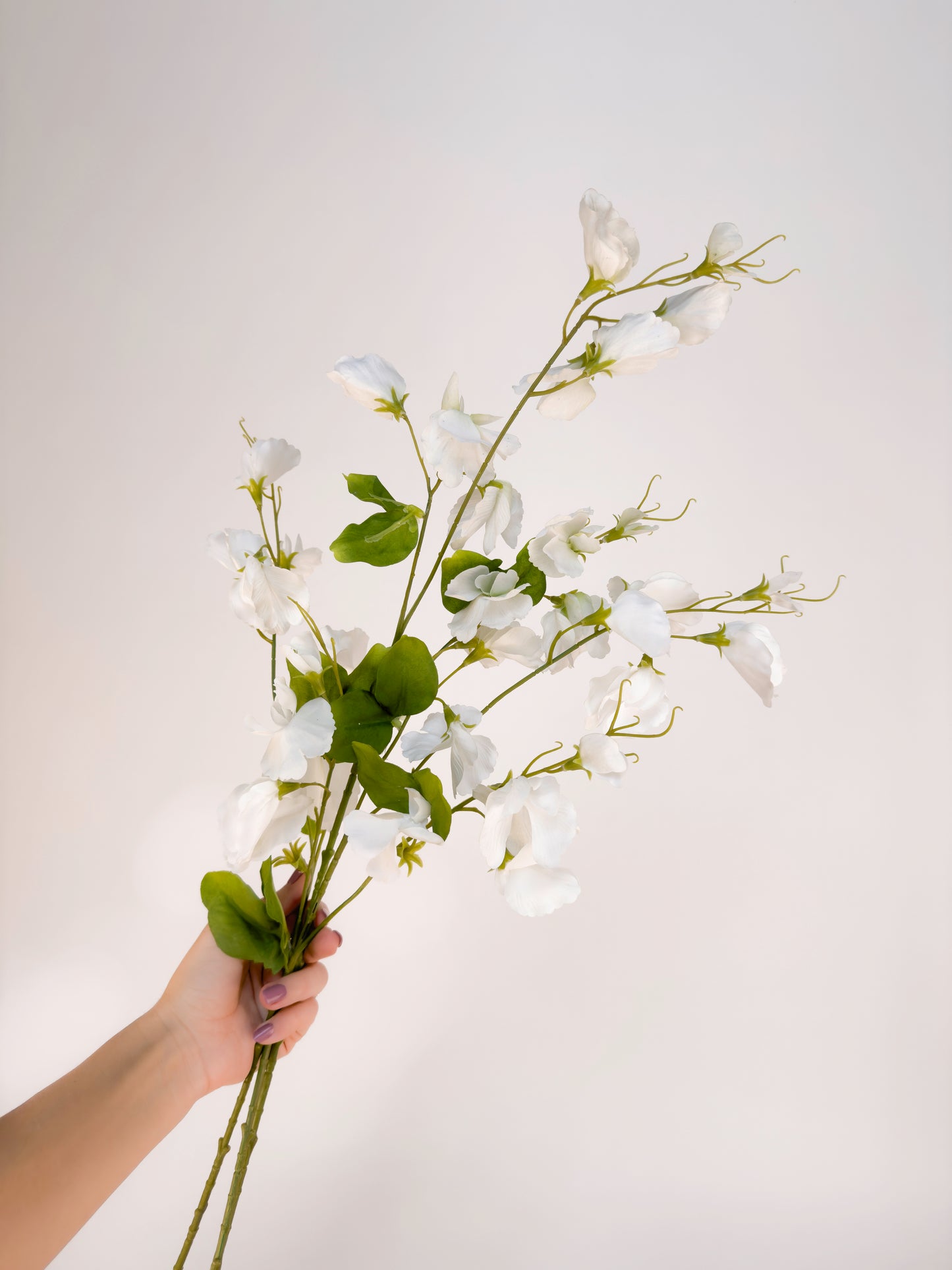 White Sweetpea -Artificial Real Touch