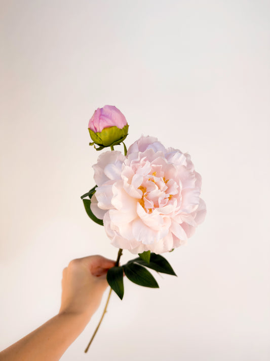 Blush Peony -Artificial Silk