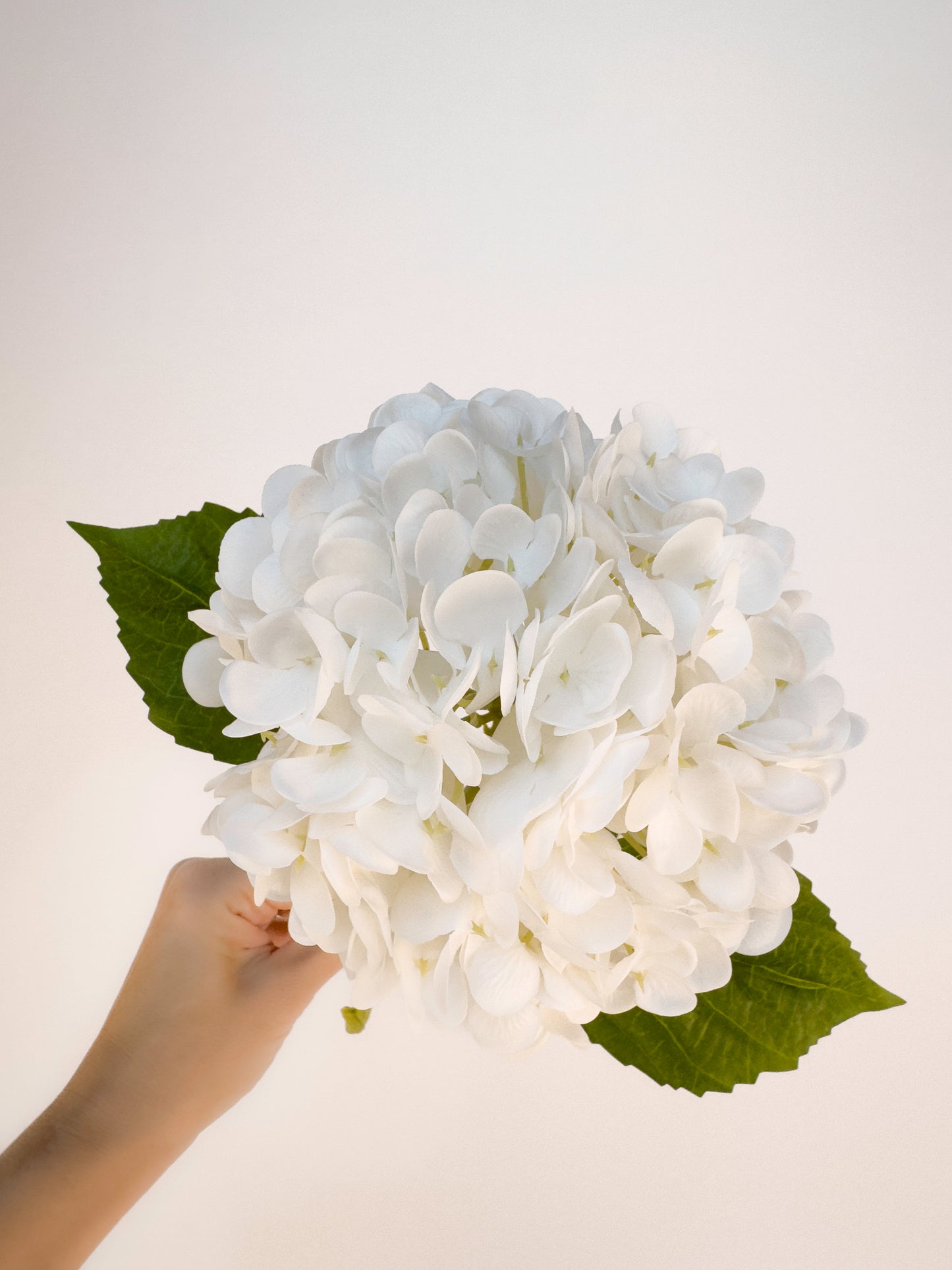 White Hydrangea -Artificial Real Touch