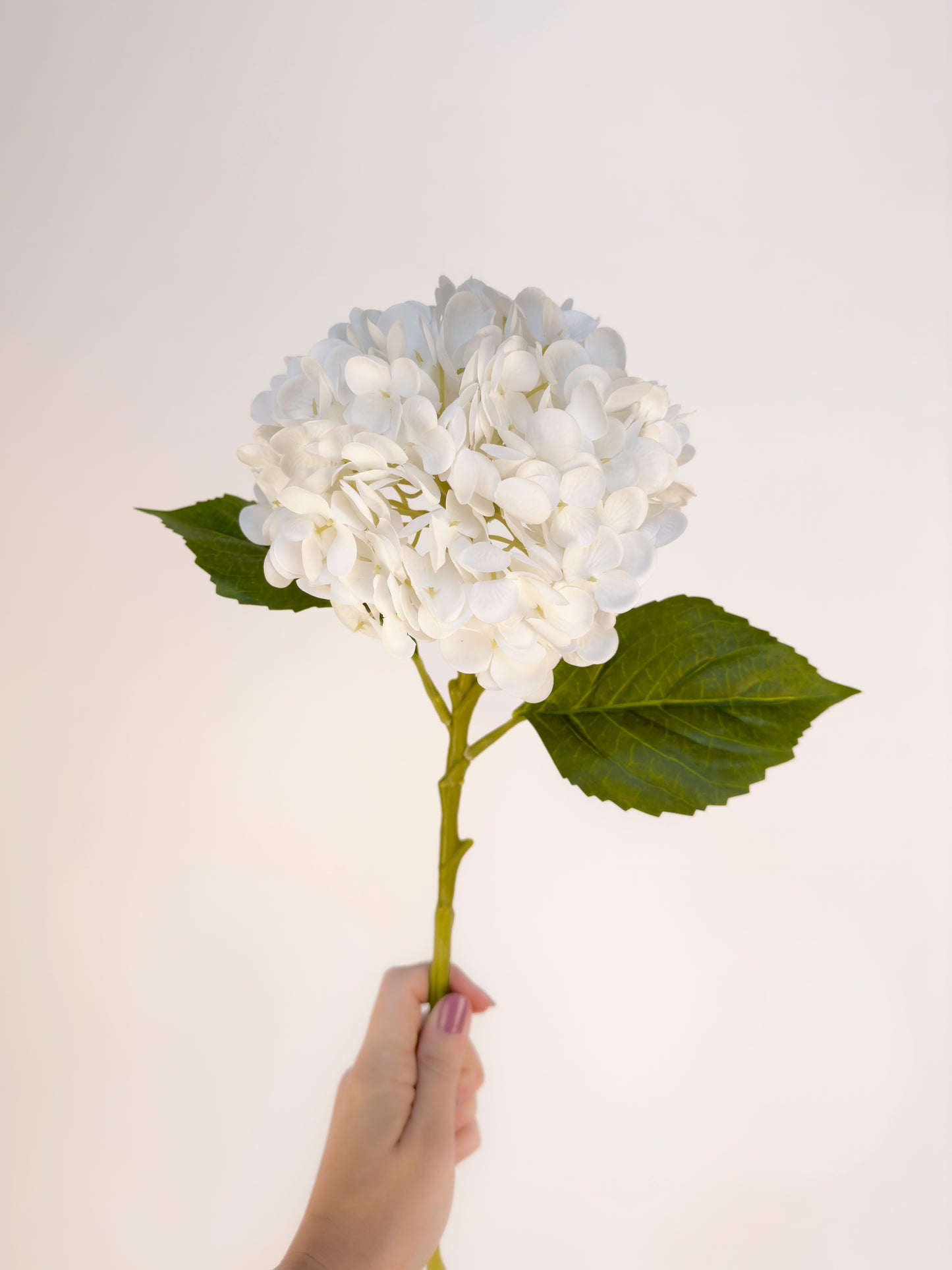 White Hydrangea -Artificial Real Touch