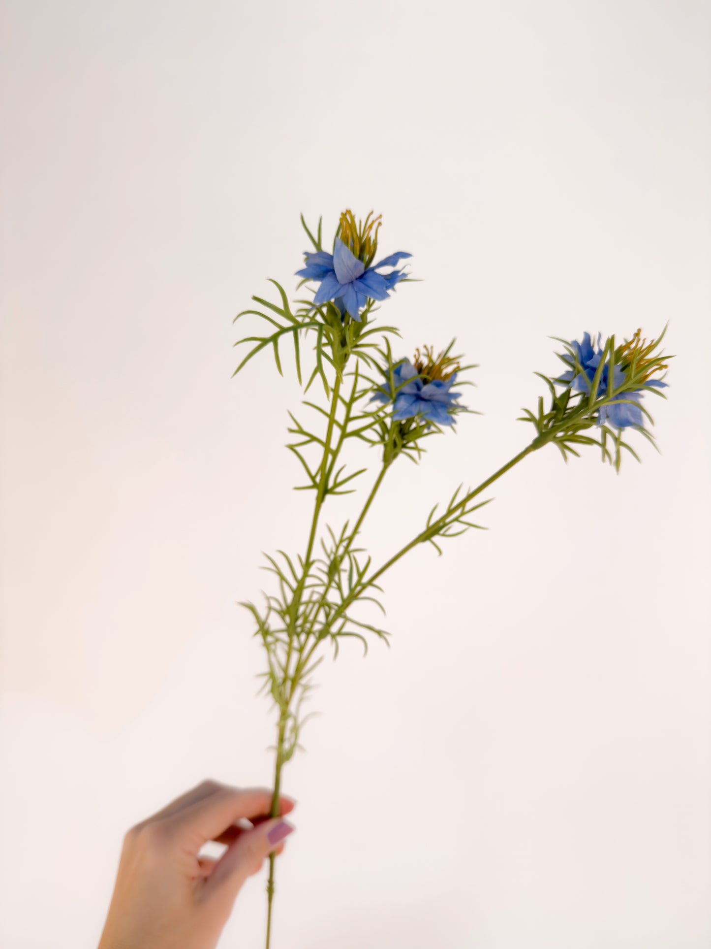 Blue Nigella -Artificial Real Touch Flower