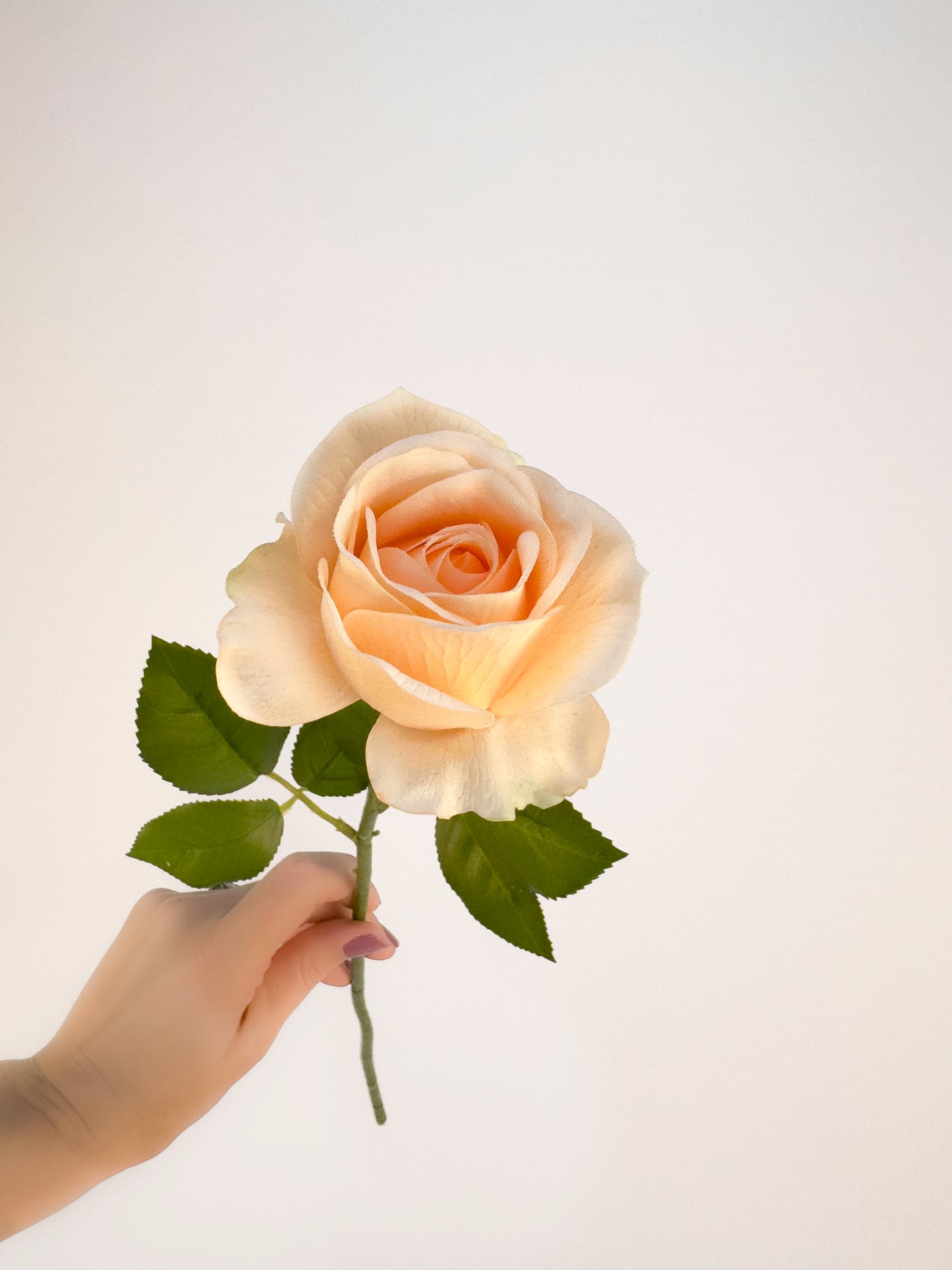 Peach Tiffany Rose -Artificial Real Touch Flower