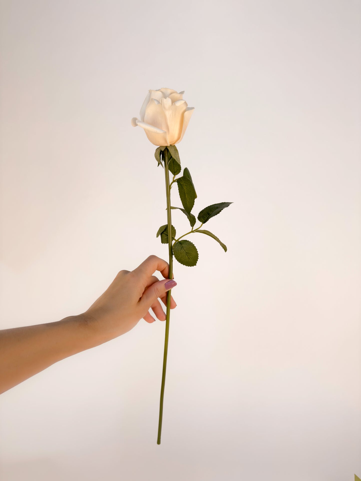James Peach Sweetheart Rose -Artificial Real Touch