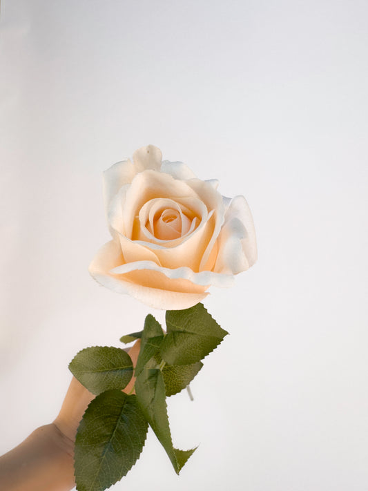 James Peach Sweetheart Rose -Artificial Real Touch