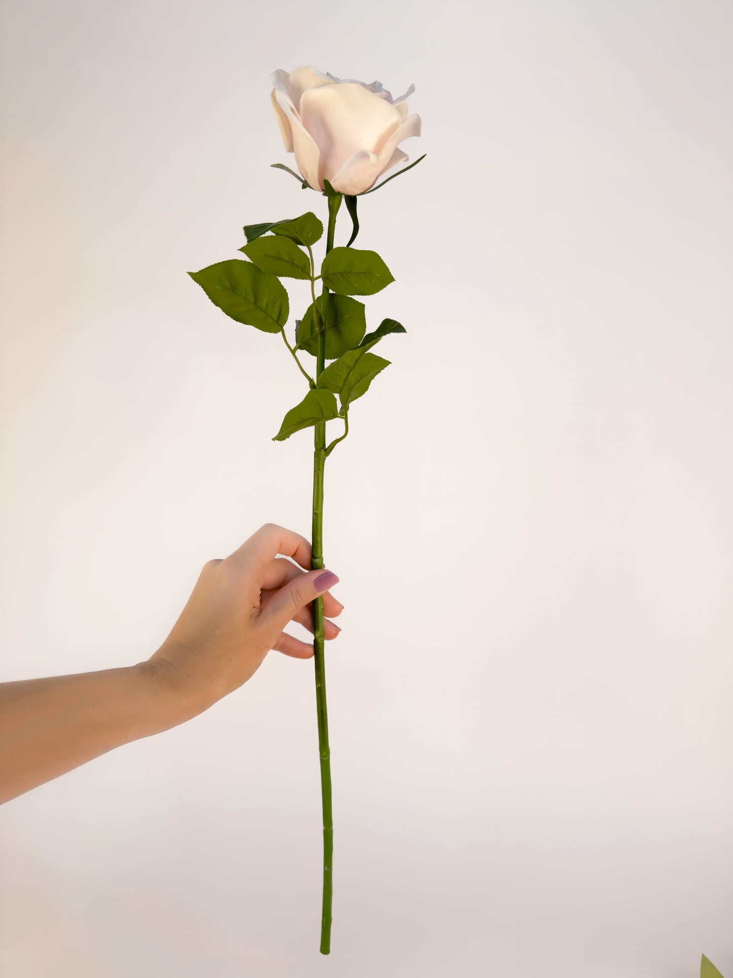 Sweet Akito Rose -Artificial Real Touch