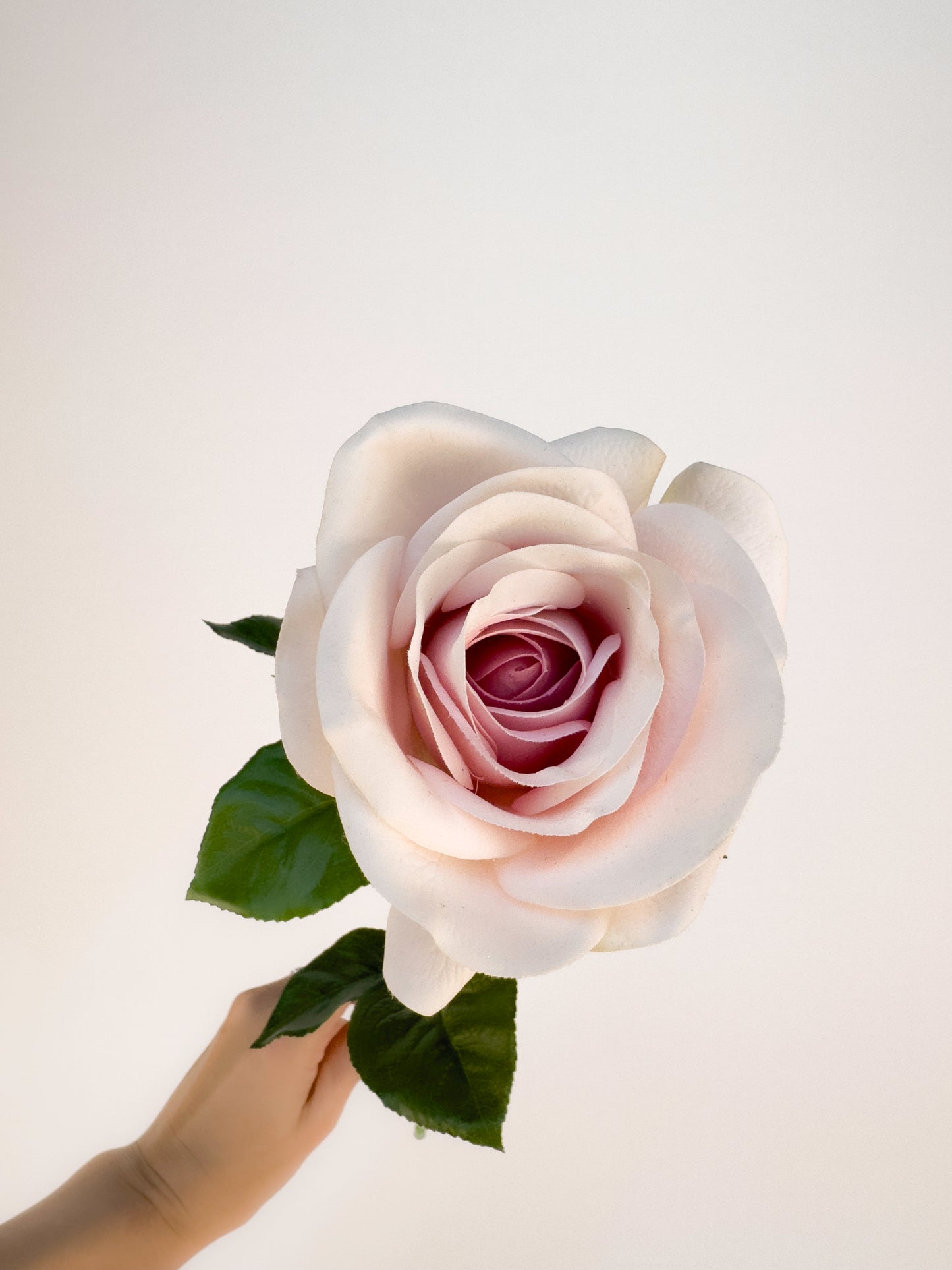 Sweet Akito Rose -Artificial Real Touch