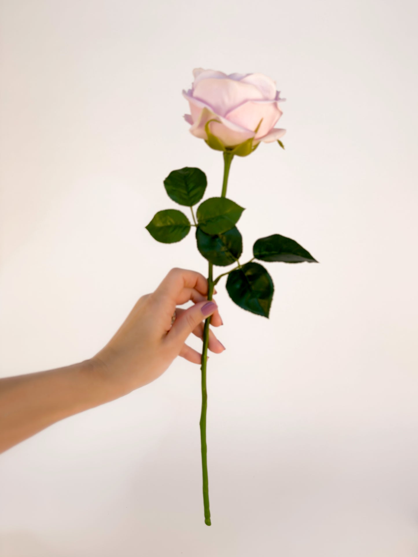 Carey Garden Rose -Artificial Real Touch