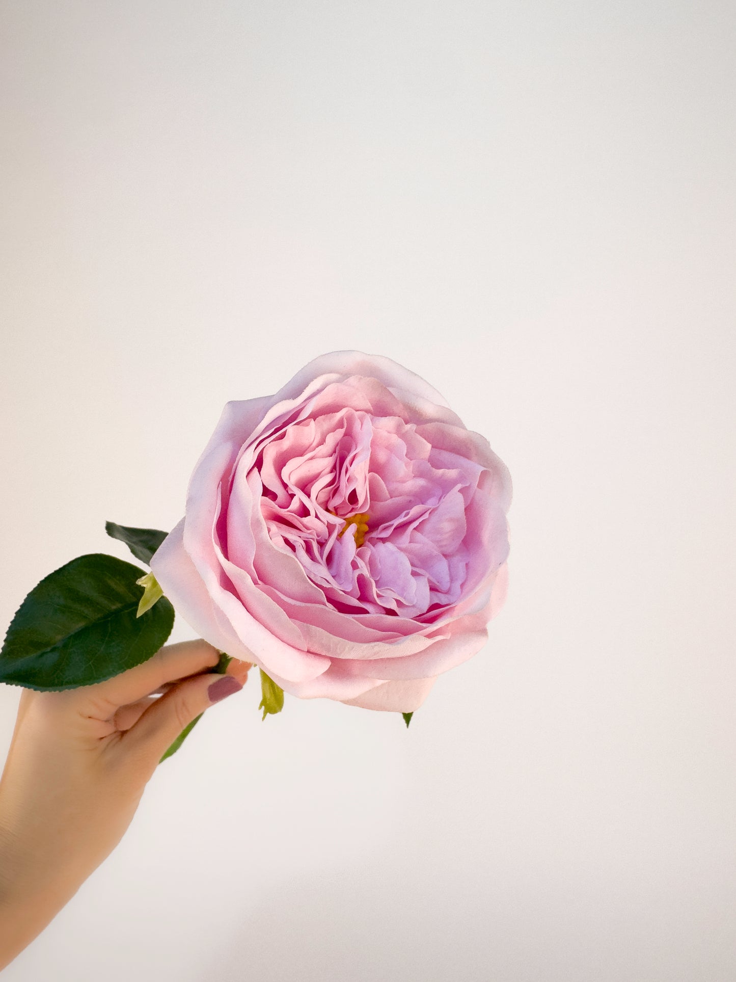 Carey Garden Rose -Artificial Real Touch