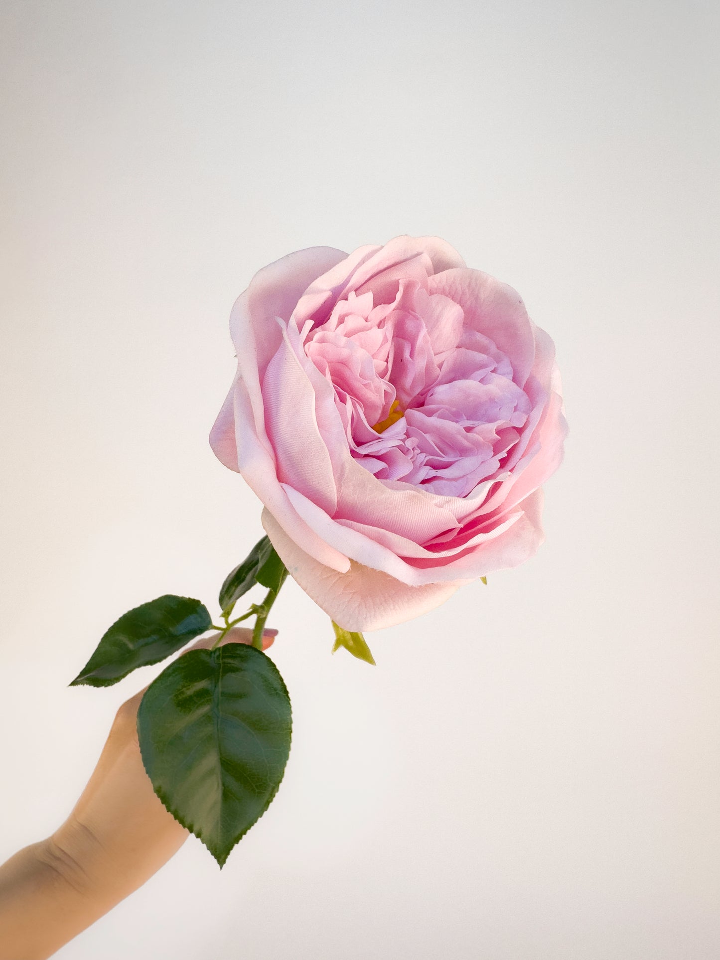 Carey Garden Rose -Artificial Real Touch