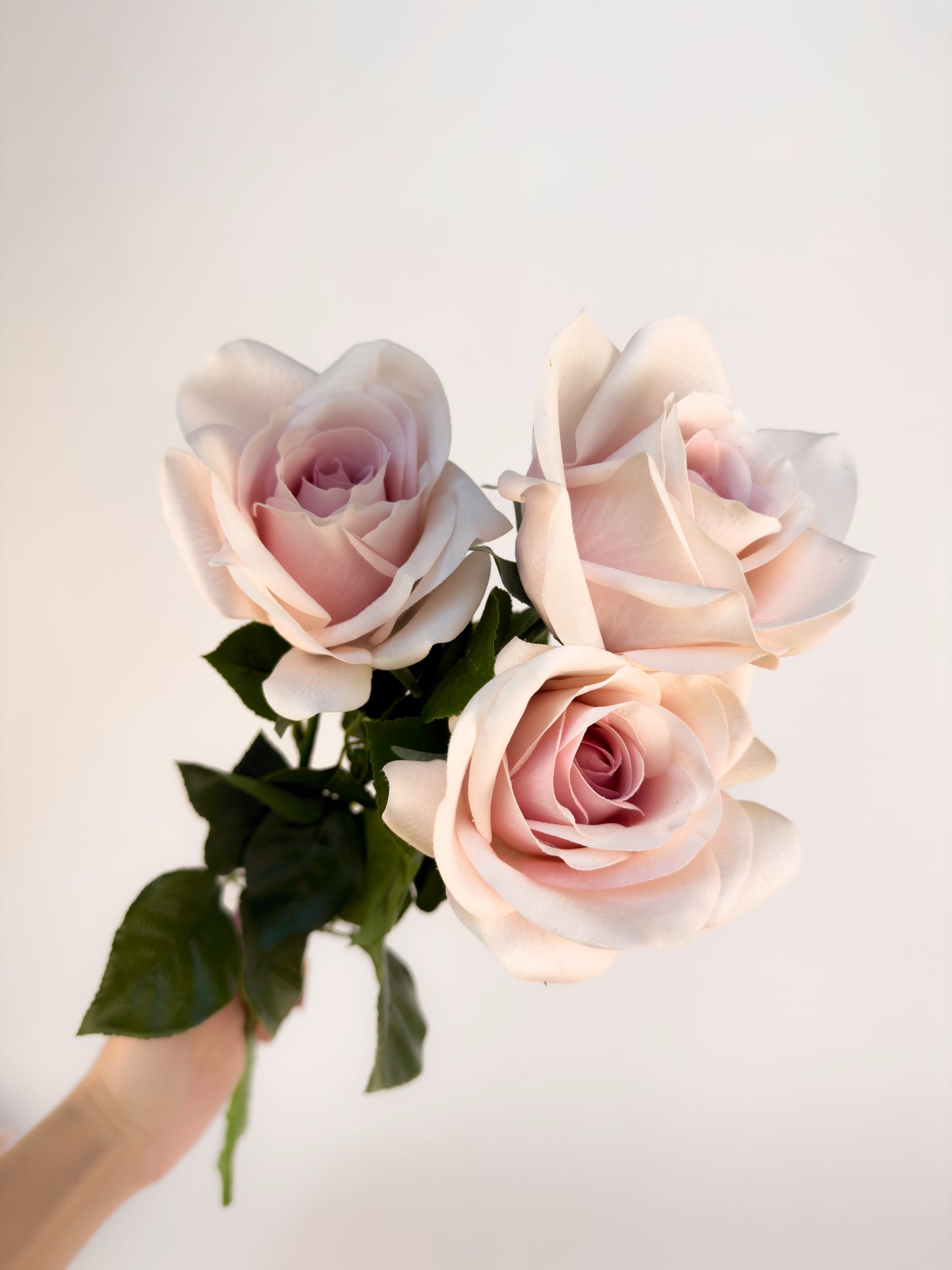 Sweet Akito Rose -Artificial Real Touch