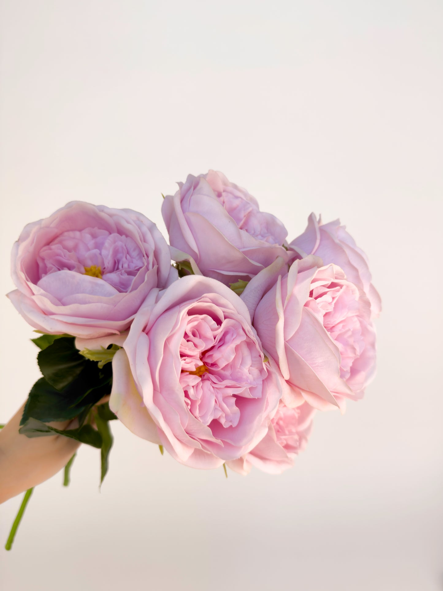 Carey Garden Rose -Artificial Real Touch