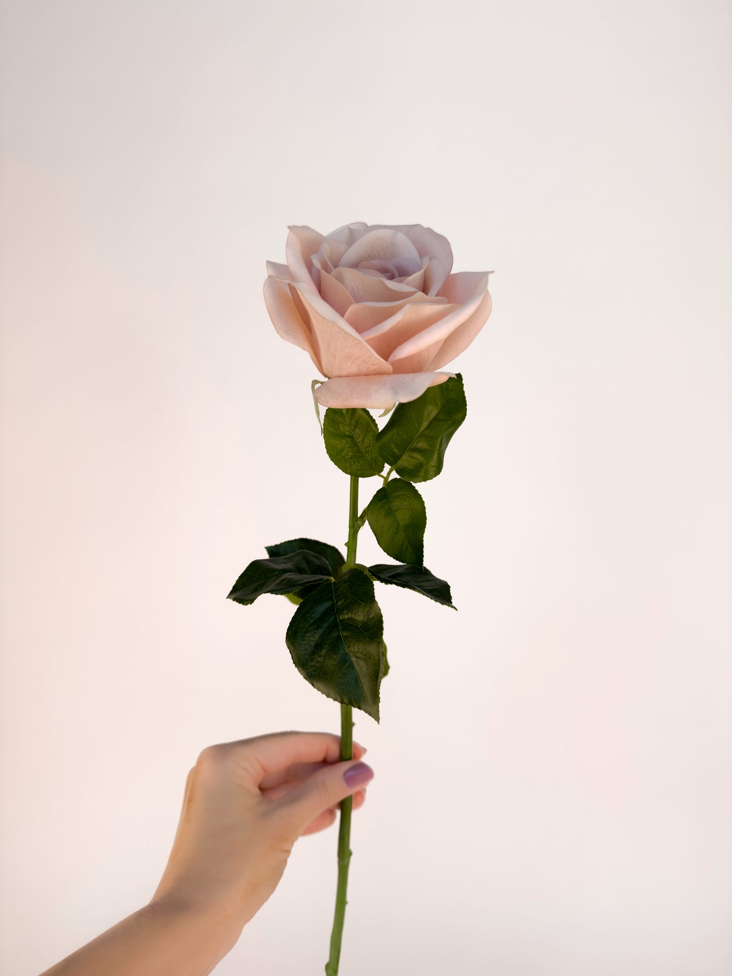 Quicksand Rose -Artificial Real Touch