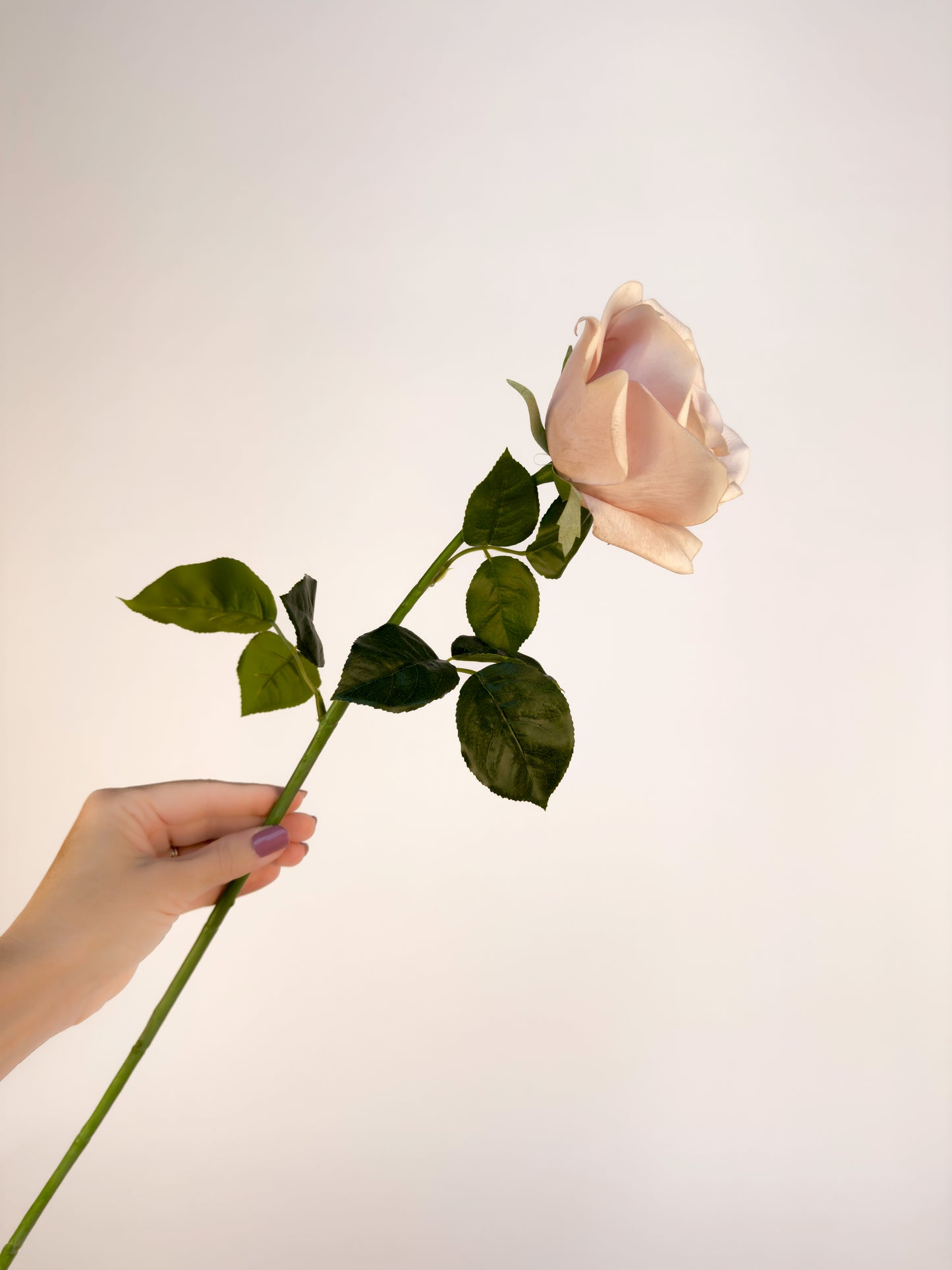 Quicksand Rose -Artificial Real Touch