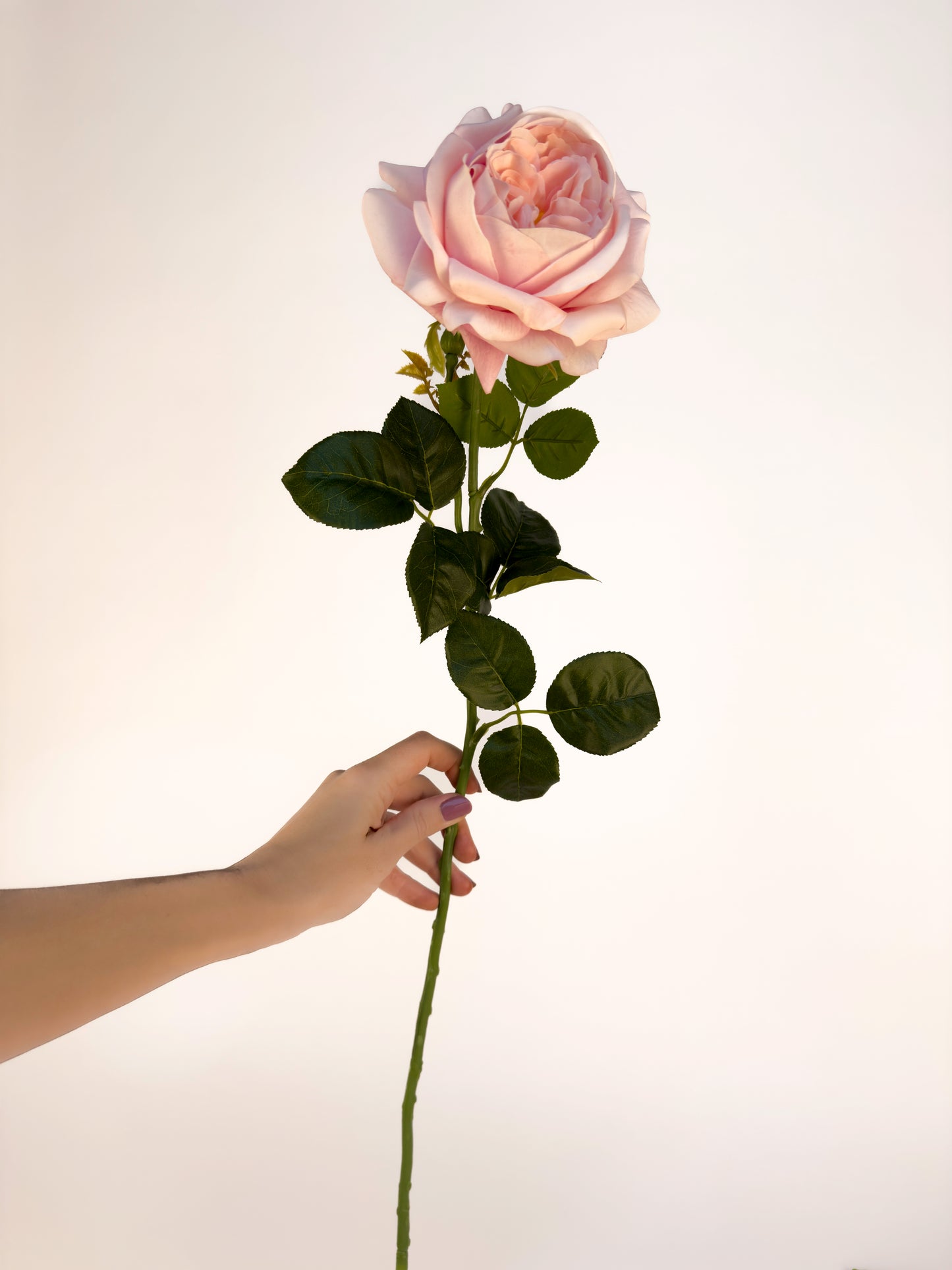 Mayras Bridal Pink Rose -Artificial Real Touch