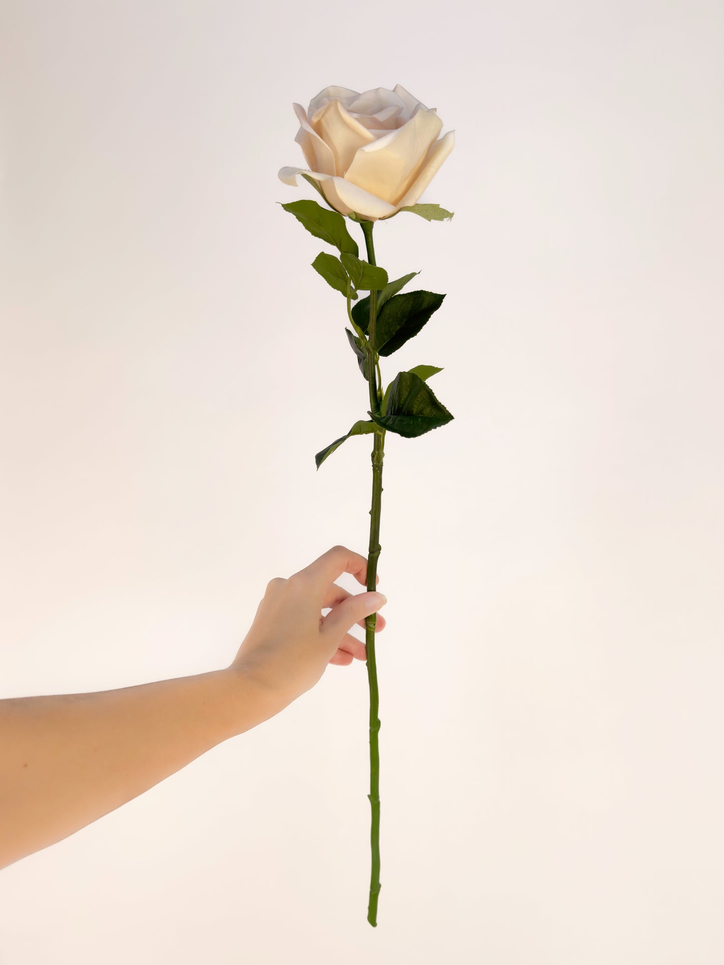 Sahara Rose -Artificial Real Touch