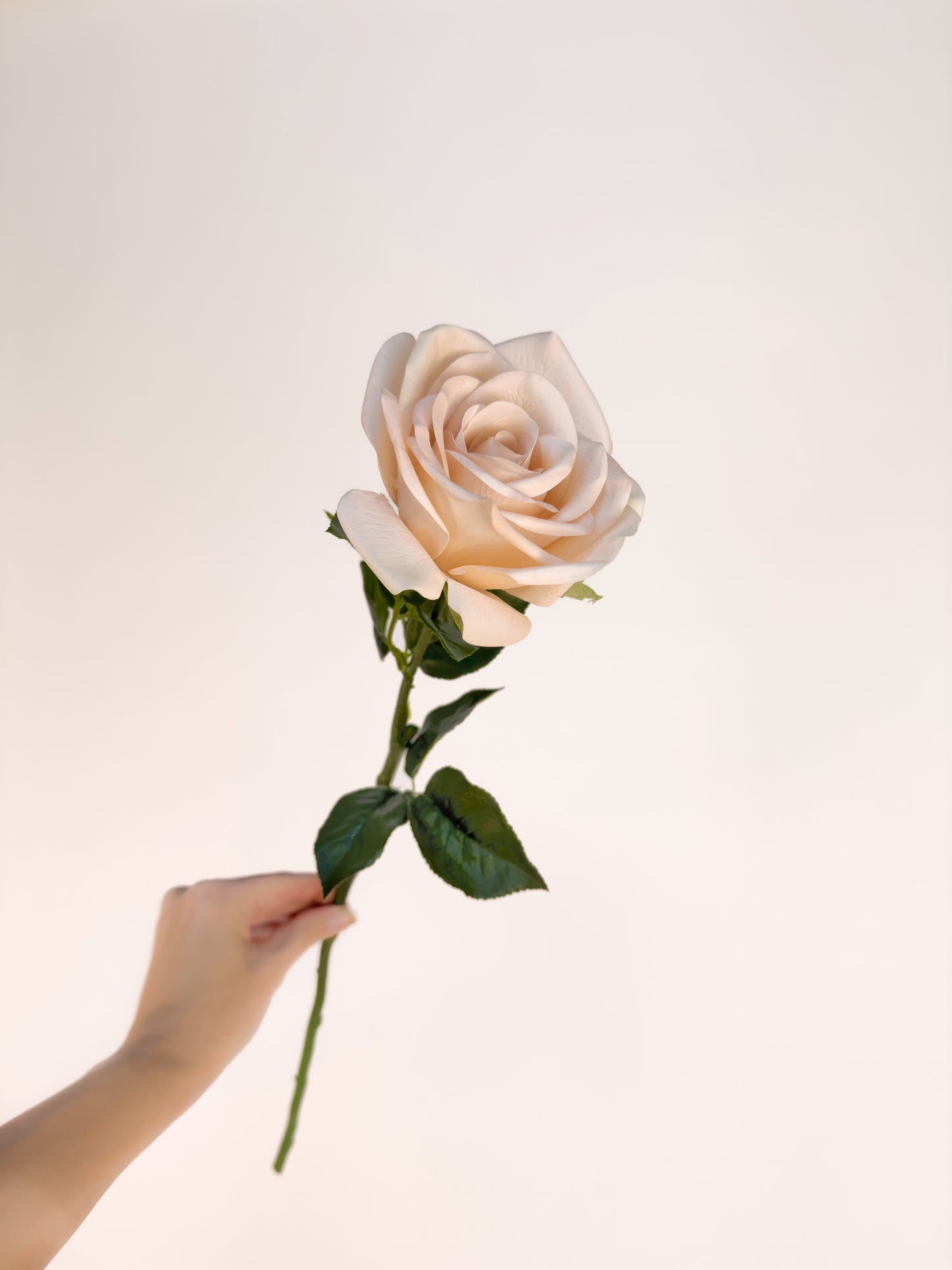 Sahara Rose -Artificial Real Touch